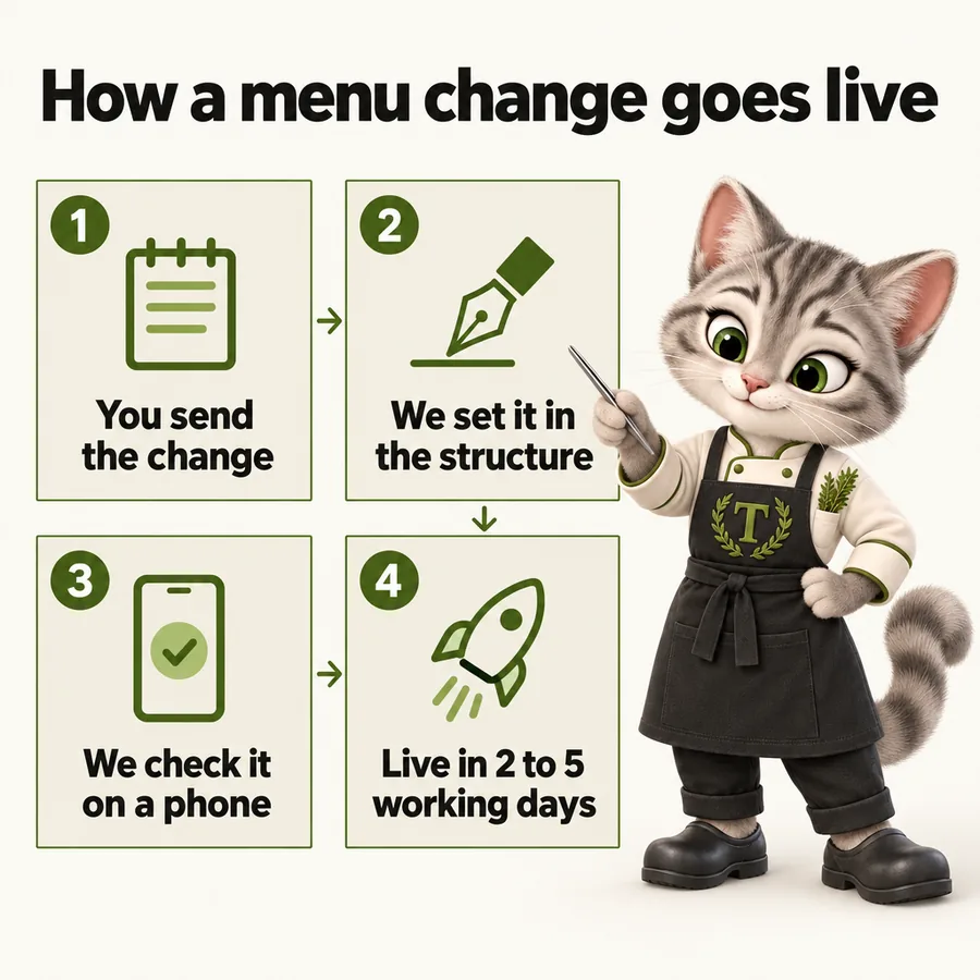 Infographic with Tansy, the MenuWebStudio kitten mascot: How a menu change goes live. You send the change; We set it in the structure; We check it on a phone; Live in 2 to 5 working days.